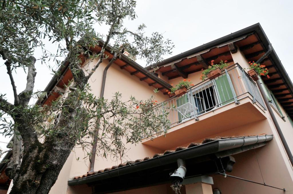 퀘르체타 La Madonnina B&B 외부 사진